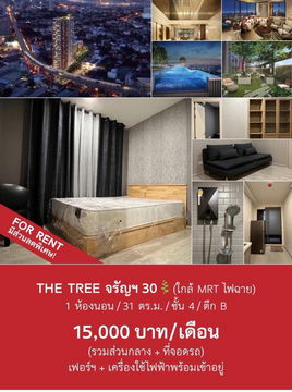 MN2924 The Tree Charan 30 Full Furnitured and electrical