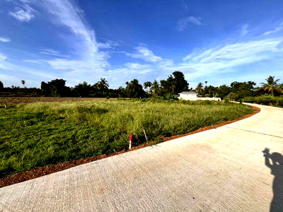 ที่ดิน สุโขทัย : ขายที่ดินหลุดผ่อนครับ 1 แปลง 100 วา ทำเลสร้างบ้าน **ฟรีโอน**