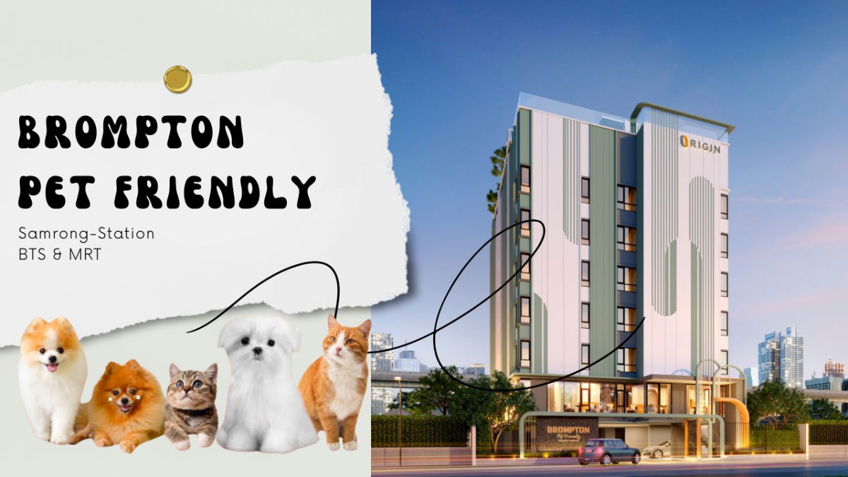 รูป ให้เช่าคอนโดเลี้ยงสัตว์ได้ พร้อมเข้าอยู่ทันที Brompton Pet Friendly Samrong-Station : บรอมป์ตัน เพ็ท เฟรนด์ลี่ สำโรง-สเตชั่น Line @BZProperty - รูปที่ 1/21