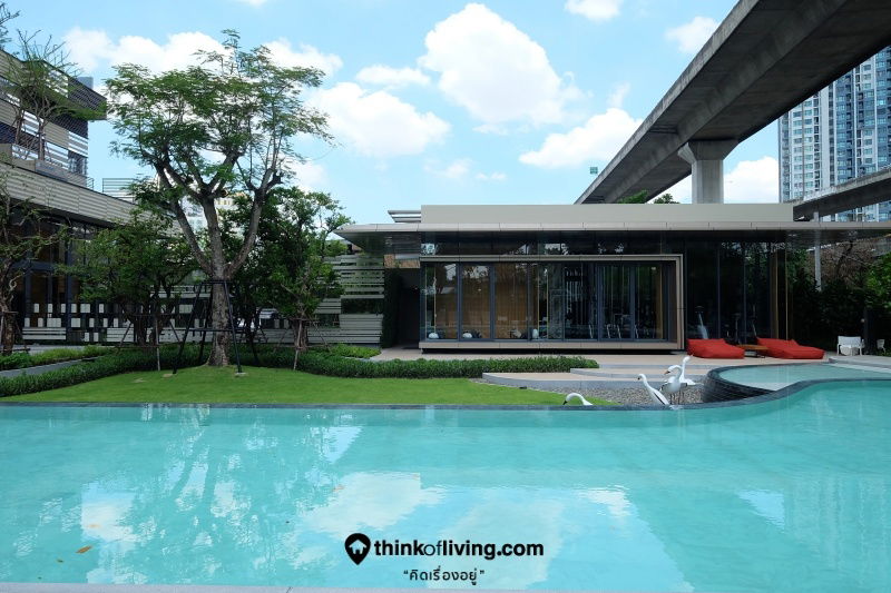รูป ให้เช่า Condo The Base Garden Rama 9  ห้องสวย - รูปที่ 40/42