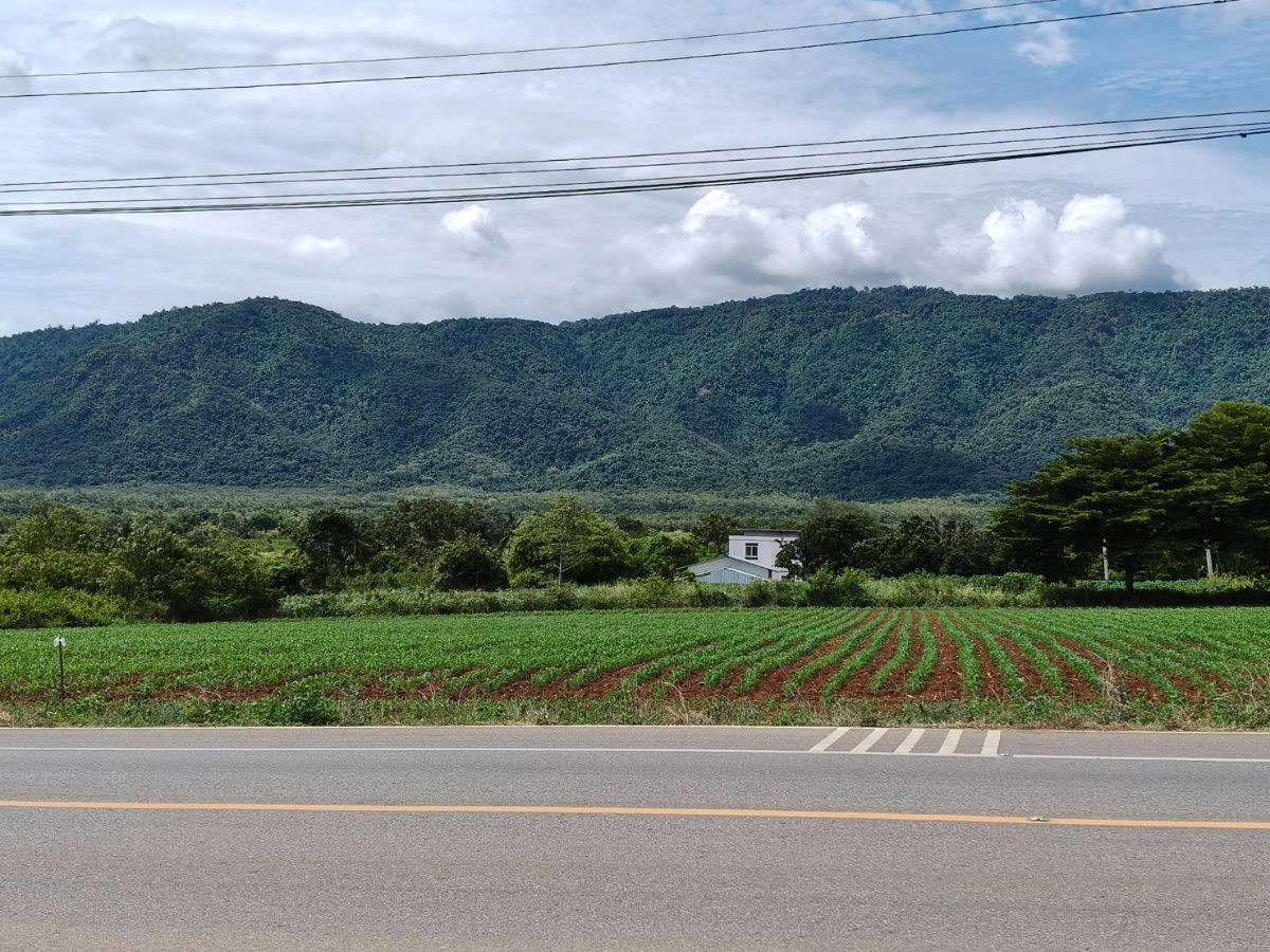 รูป ขายที่ดินเขาใหญ่ ติดถนน3052 หมูสี ปากช่อง ที่ดิน 4 ไร่ติดถนนใหญ่ ใกล้ธนะรัชต์ ทางไปทอสคานา ใกล้คีรีมายา วิวอุทยานเขาใหญ่สวยมาก บ้านเลือดไทย 0879074045 - รูปที่ 1/5
