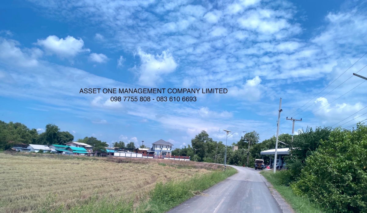 รูป ขายไร่ละ 9 แสน ที่ดิน 2 ไร่ ใกล้วัดดอนกลาง ภาชี อยุธยา 098 7755 808 - รูปที่ 4/11