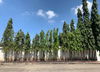 listing thumbnail image 9