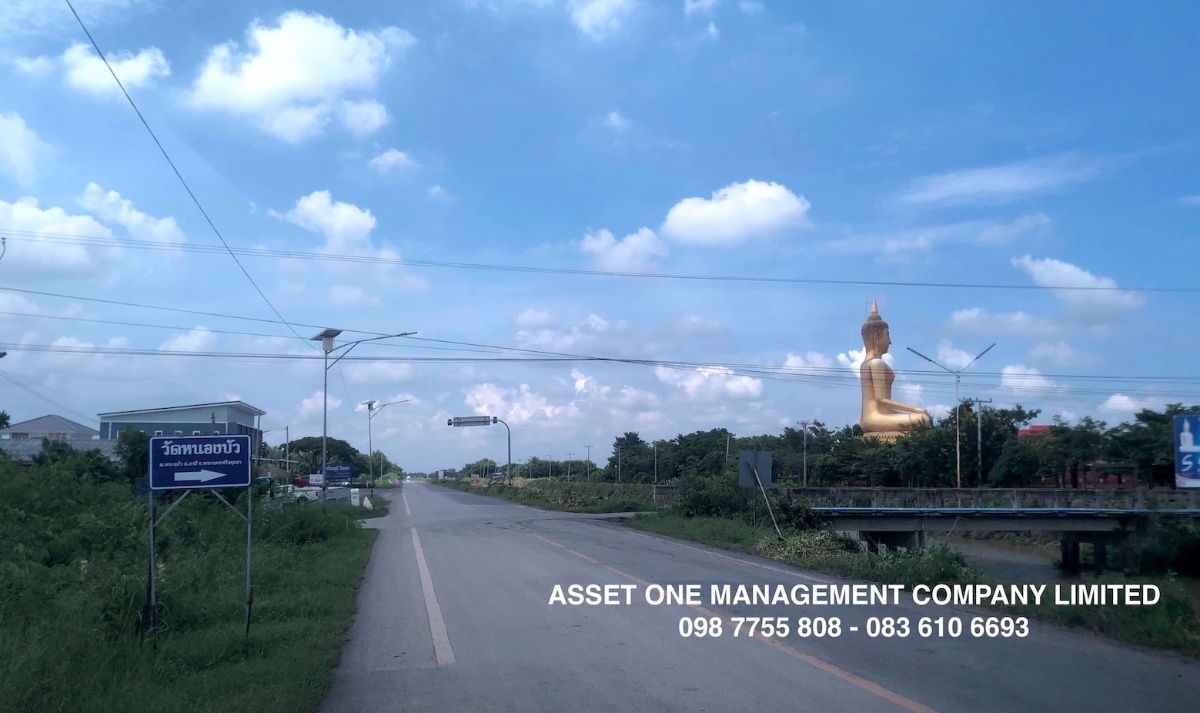 รูป ขายไร่ละ 9 แสน ที่ดิน 2 ไร่ ใกล้วัดดอนกลาง ภาชี อยุธยา 098 7755 808 - รูปที่ 3/11