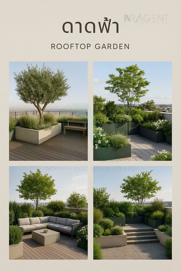 picture 📌 For Sell Town house RUANGSIRI 3-story 4 bedroom 4 bathroom - 8/8