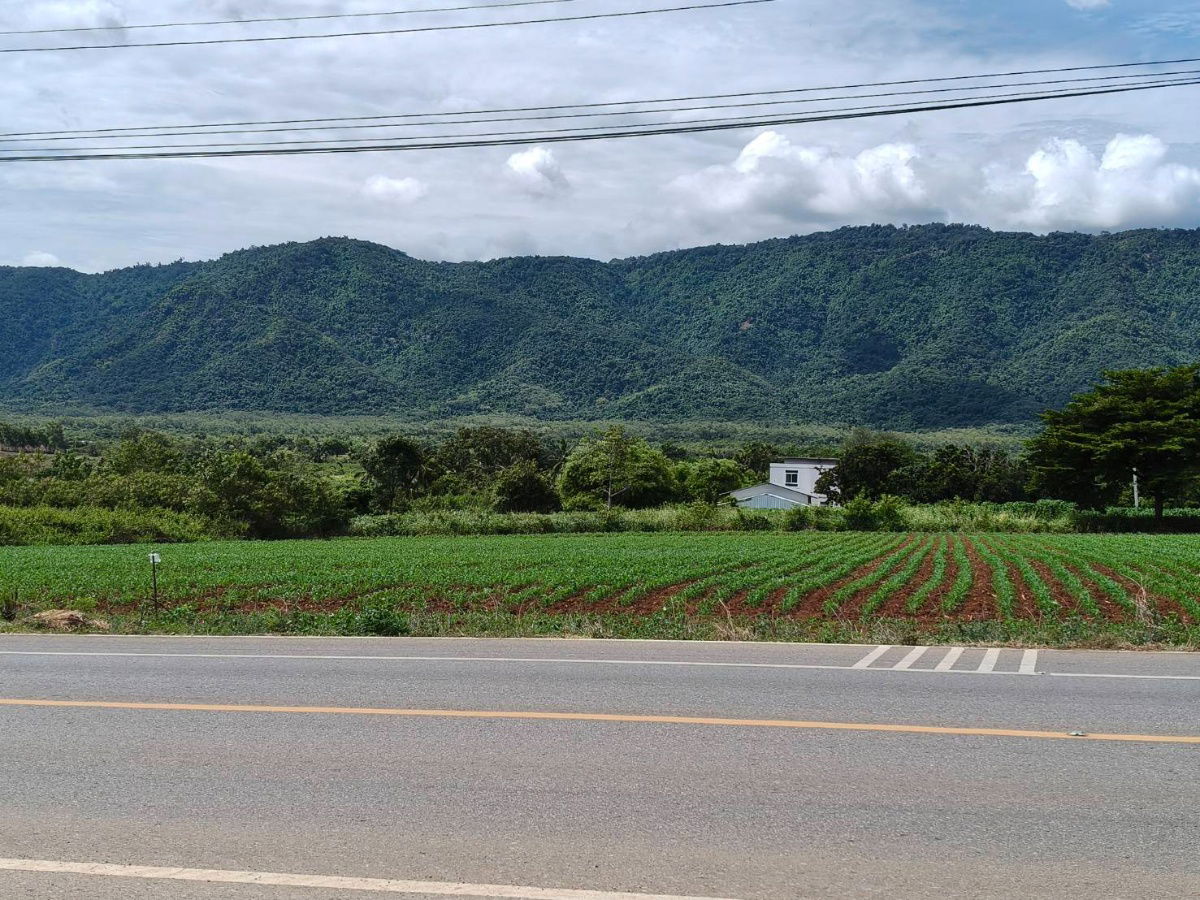 รูป ขายที่ดินเขาใหญ่ ติดถนน3052 หมูสี ปากช่อง ที่ดิน 4 ไร่ติดถนนใหญ่ ใกล้ธนะรัชต์ ทางไปทอสคานา ใกล้คีรีมายา วิวอุทยานเขาใหญ่สวยมาก บ้านเลือดไทย 0879074045 - รูปที่ 4/5