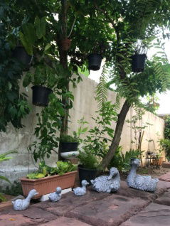 picture Rent /Sales Home at THB 25,000/mth  - 12/13