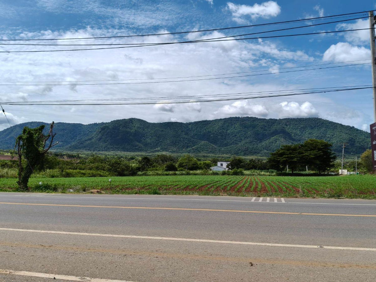 รูป ขายที่ดินเขาใหญ่ ติดถนน3052 หมูสี ปากช่อง ที่ดิน 4 ไร่ติดถนนใหญ่ ใกล้ธนะรัชต์ ทางไปทอสคานา ใกล้คีรีมายา วิวอุทยานเขาใหญ่สวยมาก บ้านเลือดไทย 0879074045 - รูปที่ 3/5