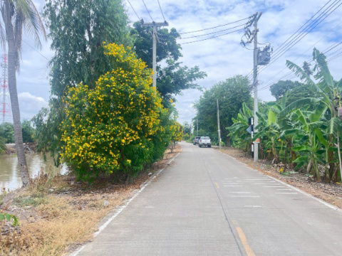 รูป sss511 ขายที่ดิน คลอง 3 คลองหลวง 52 ไร่ ห่างถนนมอเตอร์เวย์100 เมตร - รูปที่ 9/16