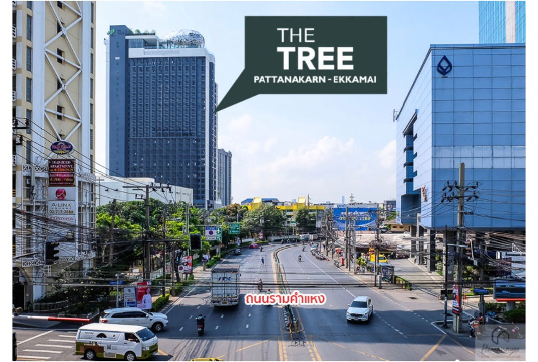 รูป ขาย คอนโด The tree พัฒนาการเอกมัย ชั้น 23 วิวทางด่วน - รูปที่ 20/22