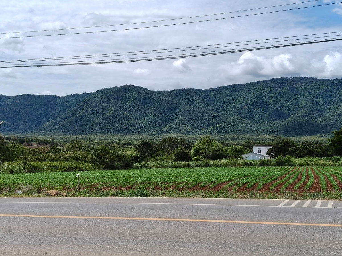 รูป ขายที่ดินเขาใหญ่ ติดถนน3052 หมูสี ปากช่อง ที่ดิน 4 ไร่ติดถนนใหญ่ ใกล้ธนะรัชต์ ทางไปทอสคานา ใกล้คีรีมายา วิวอุทยานเขาใหญ่สวยมาก บ้านเลือดไทย 0879074045 - รูปที่ 5/5