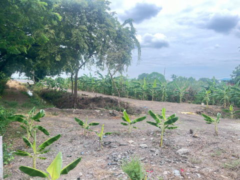 รูป sss511 ขายที่ดิน คลอง 3 คลองหลวง 52 ไร่ ห่างถนนมอเตอร์เวย์100 เมตร - รูปที่ 8/16