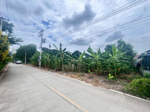 รูป sss511 ขายที่ดิน คลอง 3 คลองหลวง 52 ไร่ ห่างถนนมอเตอร์เวย์100 เมตร - รูปที่ 14/16
