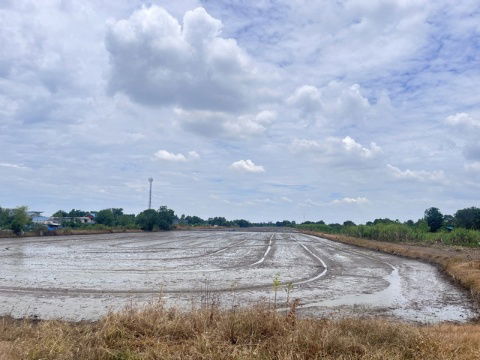 รูป sss511 ขายที่ดิน คลอง 3 คลองหลวง 52 ไร่ ห่างถนนมอเตอร์เวย์100 เมตร - รูปที่ 15/16
