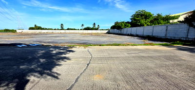 ที่ดิน ไทรน้อย นนทบุรี : ที่ดินถมแล้วสำหรับทำบ้านสวน  โกดัง 507 ตรว.