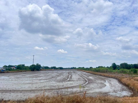 รูป sss511 ขายที่ดิน คลอง 3 คลองหลวง 52 ไร่ ห่างถนนมอเตอร์เวย์100 เมตร - รูปที่ 4/16