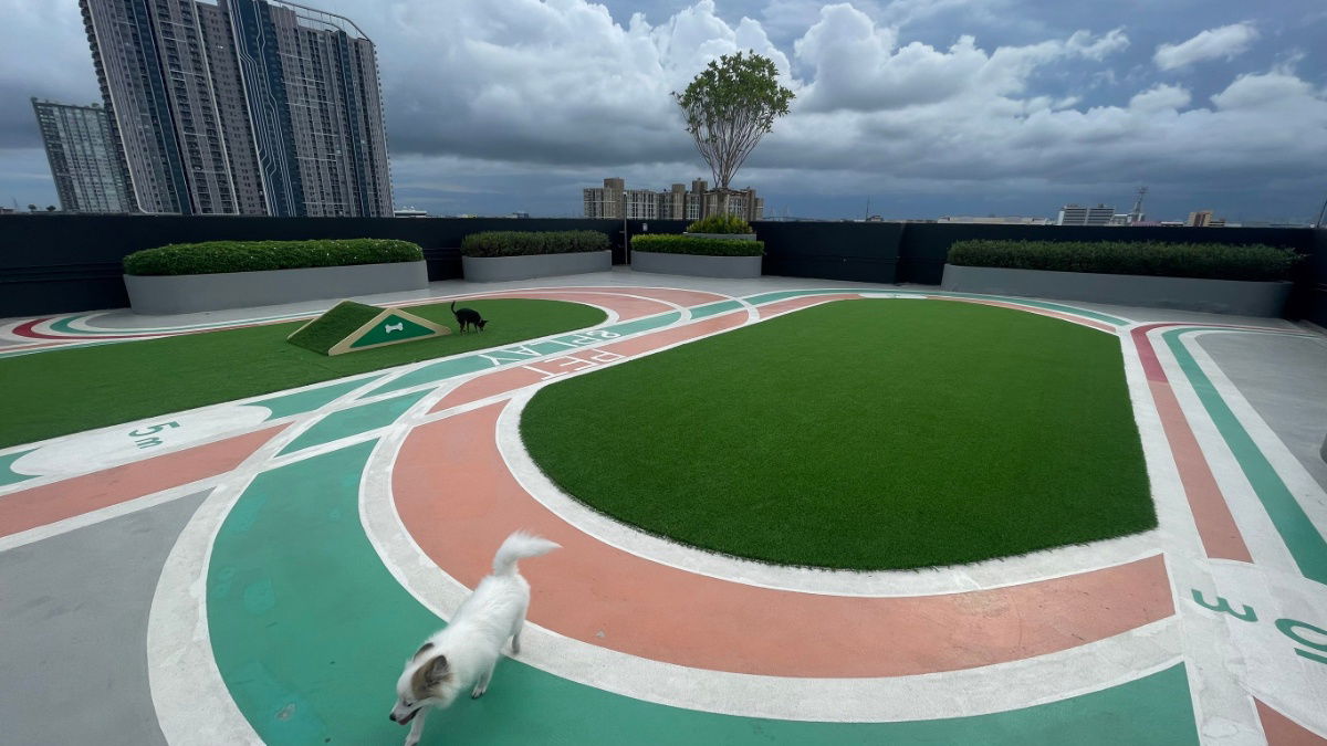 รูป ให้เช่าคอนโดเลี้ยงสัตว์ได้ พร้อมเข้าอยู่ทันที Brompton Pet Friendly Samrong-Station : บรอมป์ตัน เพ็ท เฟรนด์ลี่ สำโรง-สเตชั่น Line @BZProperty - รูปที่ 14/21