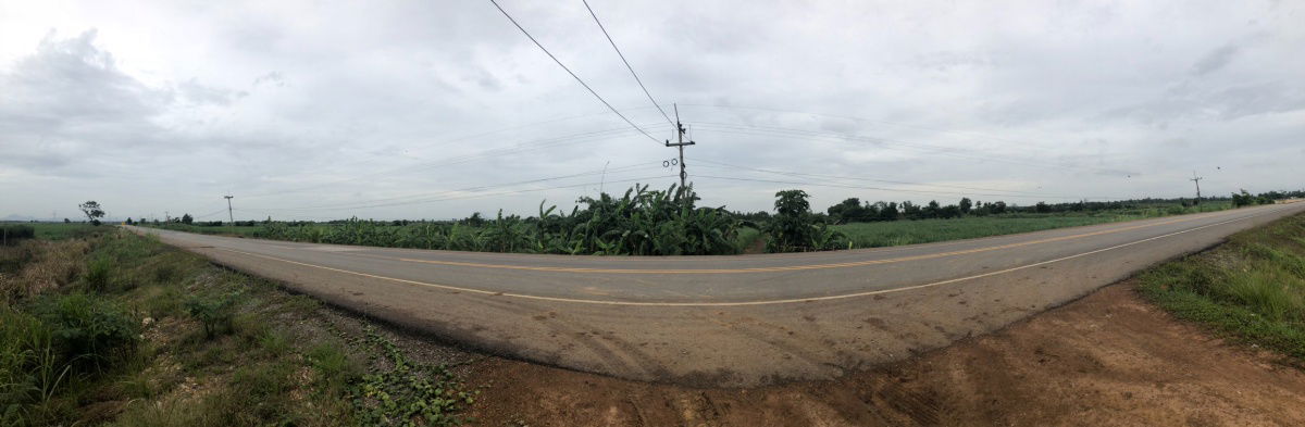 รูป ขายที่ดินแปลงใหญ่ ที่ดิน สวนเกษตร ปาล์มน้ำมัน #ที่ดินสวนเกษตร วิวแม่น้ำป่าสัก - รูปที่ 3/19