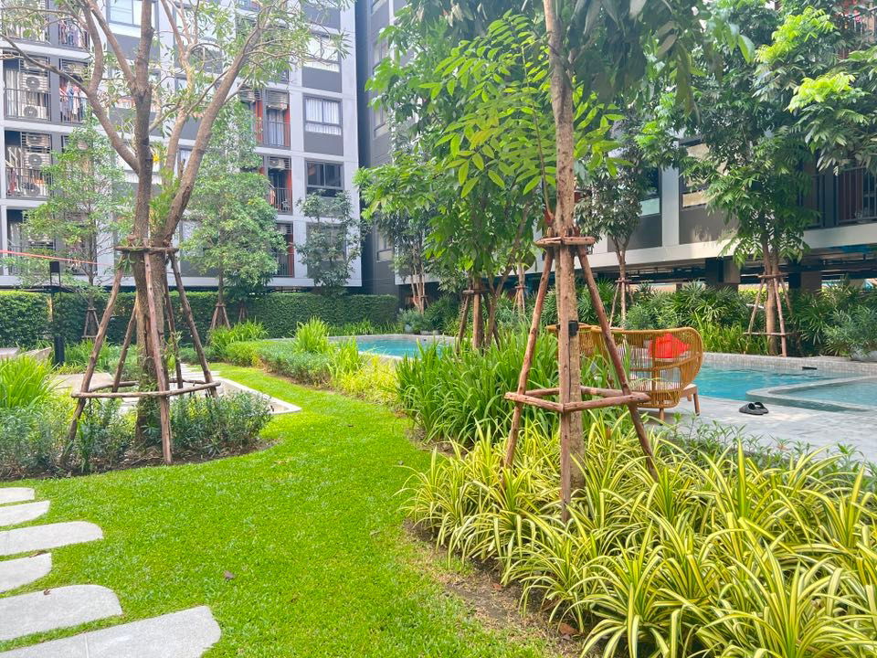 รูป 🌺 FOR RENT 🏩 THE MUVE บางนา ซอยบางนา-ตราด 37 🏩 #JA-070 - รูปที่ 8/8