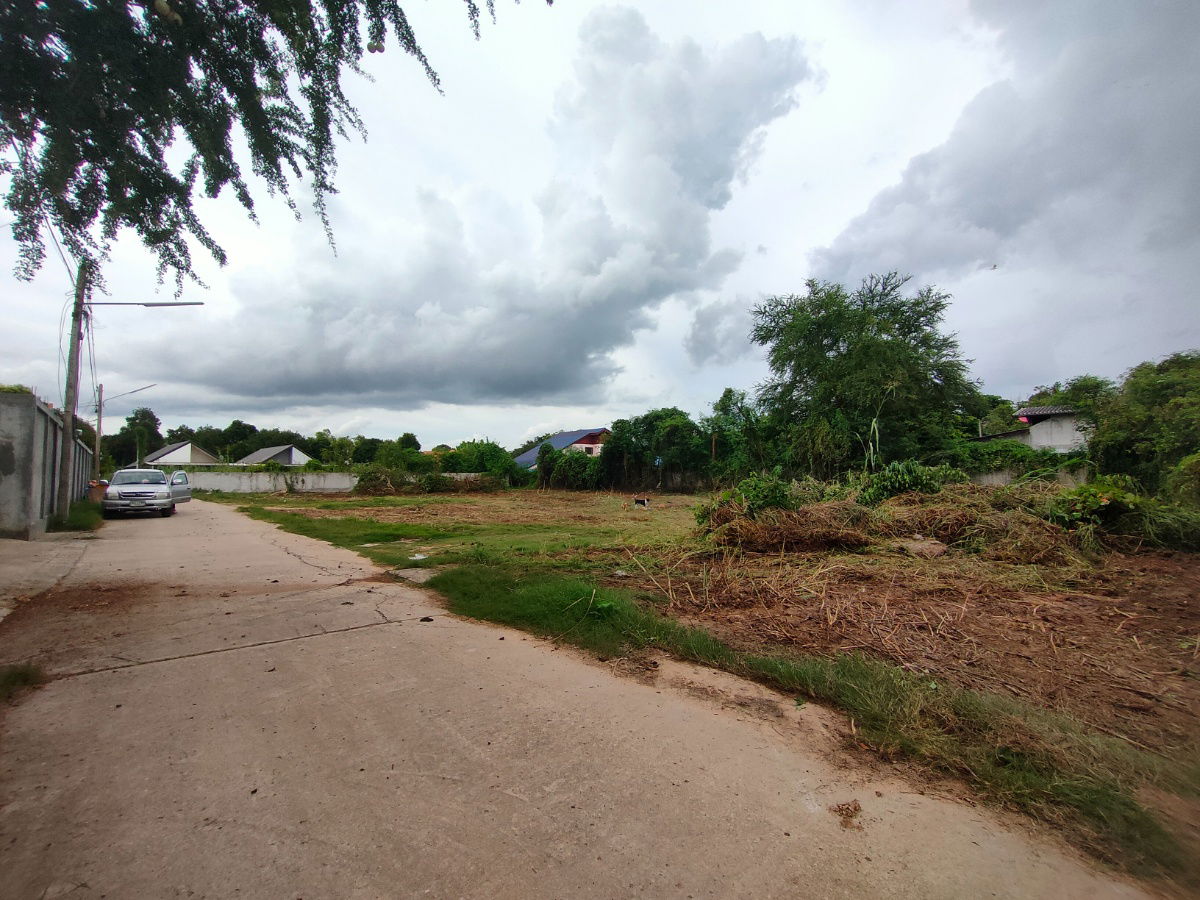 picture Land for Sale near Nakhon Sawan Bypass – Only 999,900 THB  - 4/4