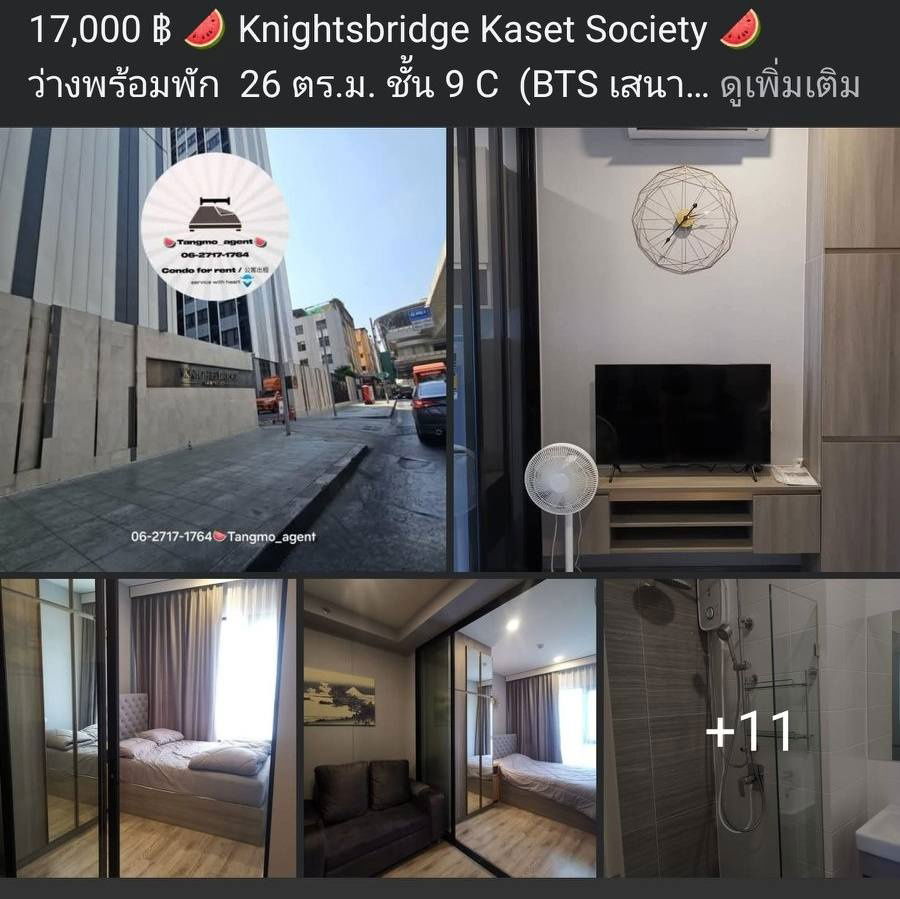 picture Knightsbridge Kaset Society                                . - 3/5