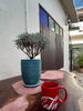 listing thumbnail image 15