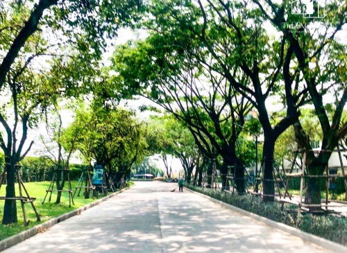 รูป ขายบ้านเดี่ยว หมู่บ้าน อณาสิริ ชัยพฤกษ์-วงแหวน บางบัวทอง พร้อมเข้าอยู่ บ้านใหม่สวยพร้อมเฟอร์ - รูปที่ 12/17