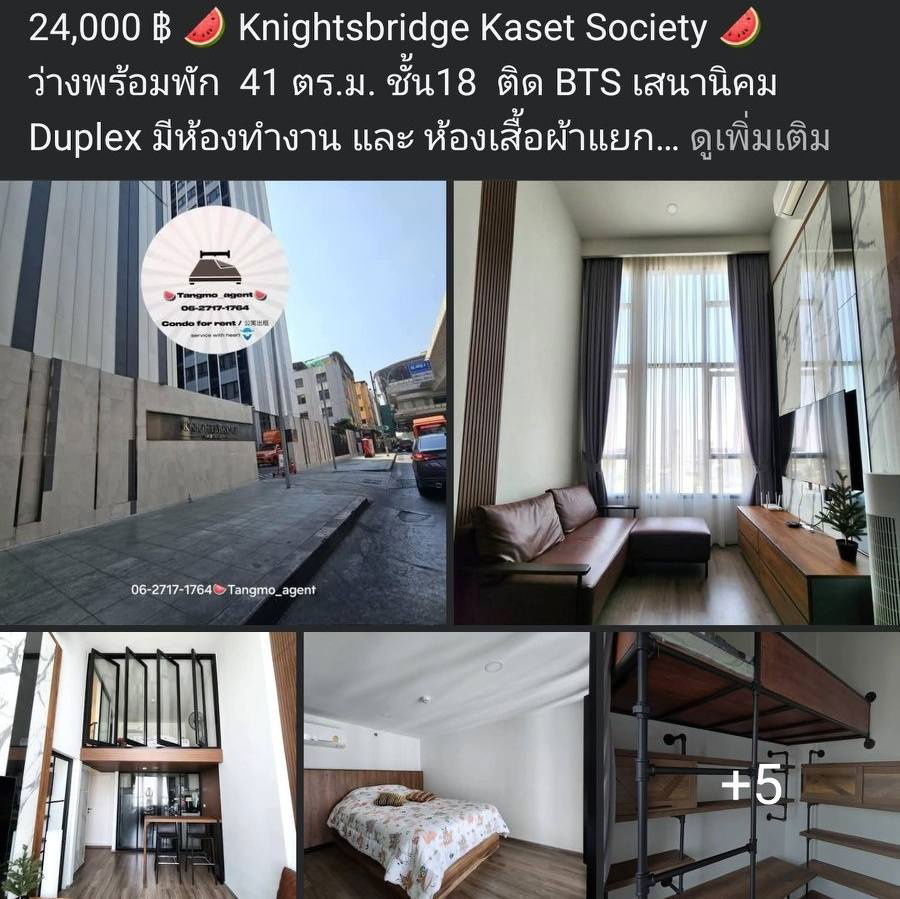 picture Knightsbridge Kaset Society                                . - 5/5