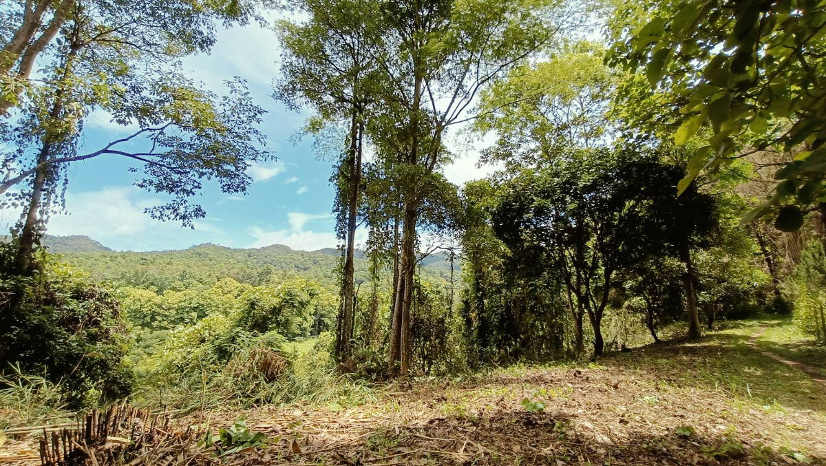 picture For sale: 3 rai of land in Suan Huai Kaew, beautiful view, can be sold separately. - 3/7