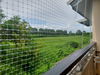 listing thumbnail image 29