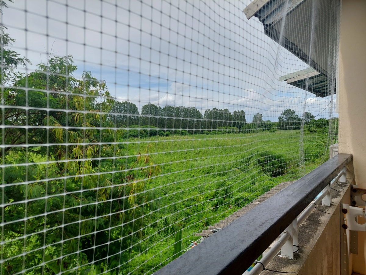 รูป ขายถูกบ้านแฝด 3 ชั้น อิ่มอัมพร ปิ่นเกล้า ทวีวัฒนา ถนนเลียบคลองทวีวัฒนา 4 ห้องนอน 5 ห้องน้ำ รีโนเวทใหม่ พร้อมอยู่ เดินทางสะดวก  - รูปที่ 30/32