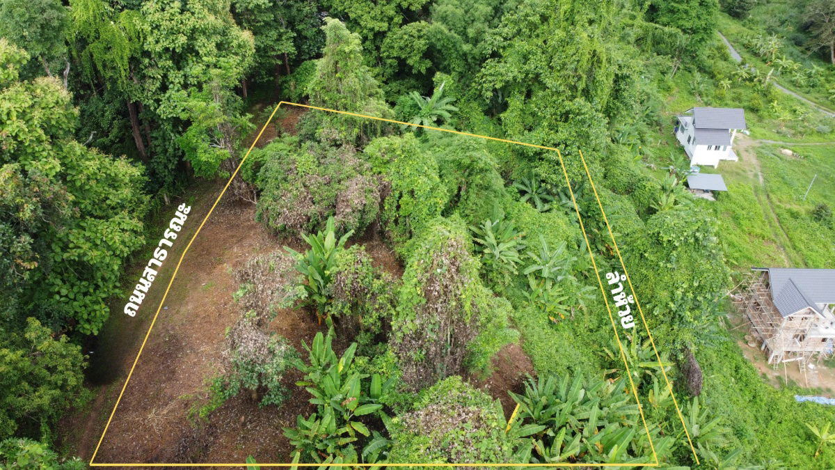 picture For sale: 3 rai of land in Suan Huai Kaew, beautiful view, can be sold separately. - 1/7