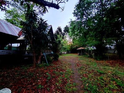 Land for sale : For sale: 2-storey townhouse, Petch Villa Village, Nong Ri Subdistrict, Mueang Chonburi District, Chonburi Province
