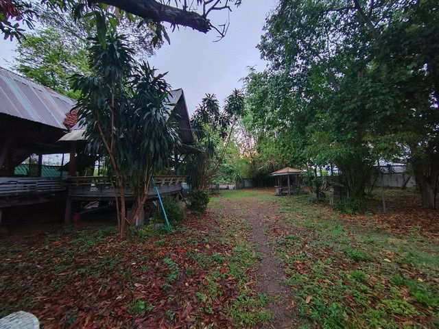 picture For sale: 2-storey townhouse, Petch Villa Village, Nong Ri Subdistrict, Mueang Chonburi District, Chonburi Province - 1/5