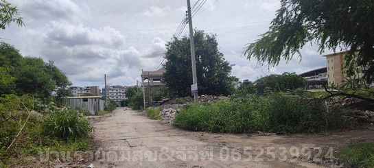 รูป ที่ดิน สร้างสร้างอพาร์ตเม้นท์ สร้างOffice ถนนแบริ่ง-ลาซาล เนื้อที่ 642 ตรว. วาละ 55,000 บาท พระโขนง กรุงเทพฯ - รูปที่ 6/10