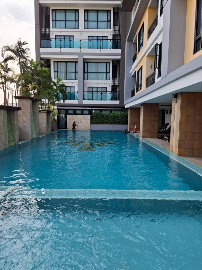 รูป ให้เช่า เดอะชายน์คอนโด ช้างคลาน ใกล้รร.มงฟอร์ตประถม ,รร.วิชัยวิทยา - รูปที่ 12/12