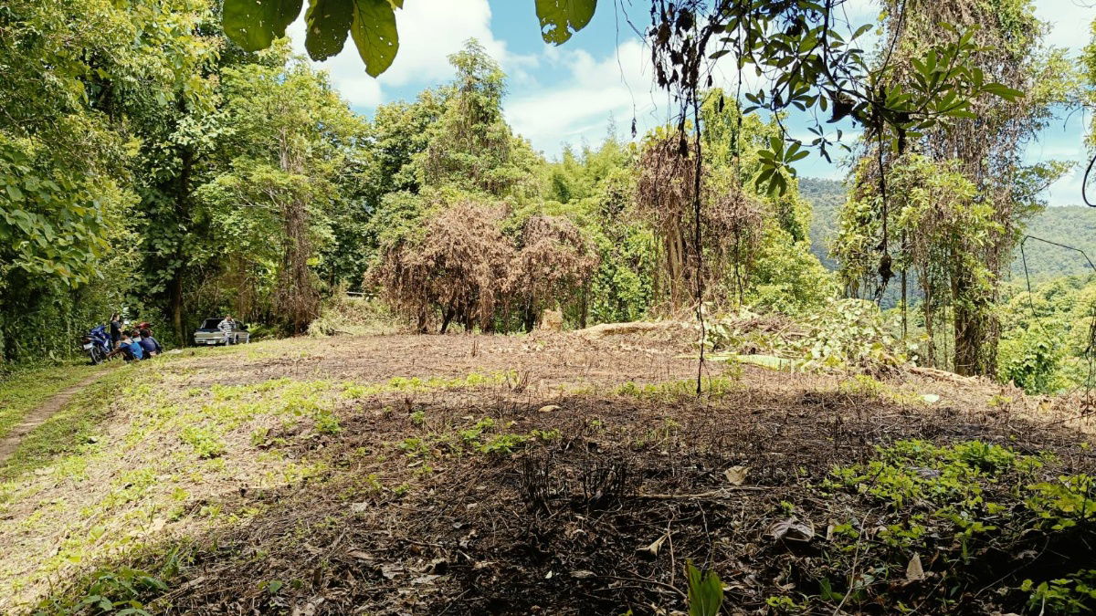 picture For sale: 3 rai of land in Suan Huai Kaew, beautiful view, can be sold separately. - 4/7
