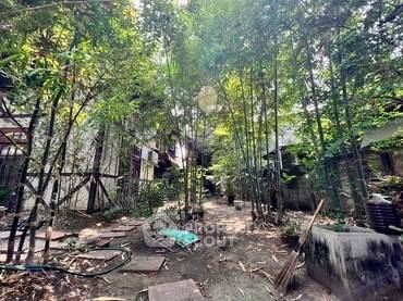 picture 6-BR House in Nong Bon (ID 1138783) - 4/6