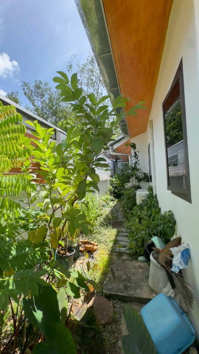 picture Udomsuk Pa Khlok Phuket WR-03678 - 12/12