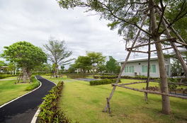 รูป Suetrong Cozy / The Peak Rangsit - Klong6 Phase 3 - รูปที่ 4/4