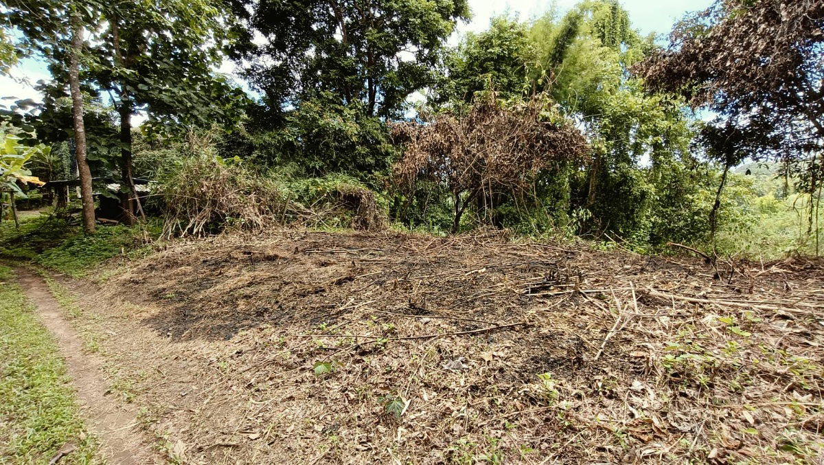 picture For sale: 3 rai of land in Suan Huai Kaew, beautiful view, can be sold separately. - 6/7