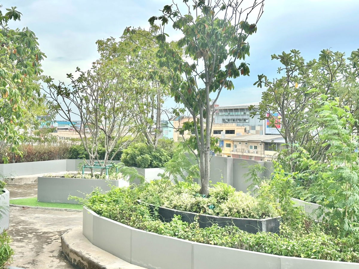 รูป "NEW ROOM" : Casaluanar Mesto 1 BED (47 ตรม - ระเบียงกว้าง) : วิวสวนและวิวเมือง ตกแต่งครบพร้อมเข้าอยู่ - รูปที่ 19/20