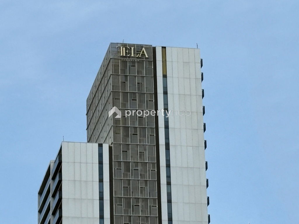 Project TELA THONGLOR Picture - 1/18