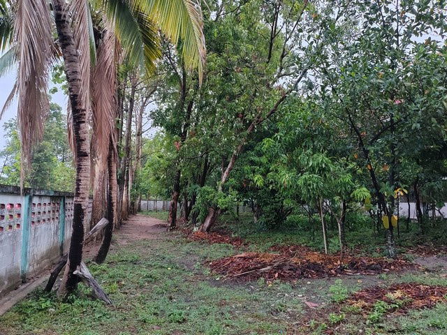 picture For sale: 2-storey townhouse, Petch Villa Village, Nong Ri Subdistrict, Mueang Chonburi District, Chonburi Province - 2/5
