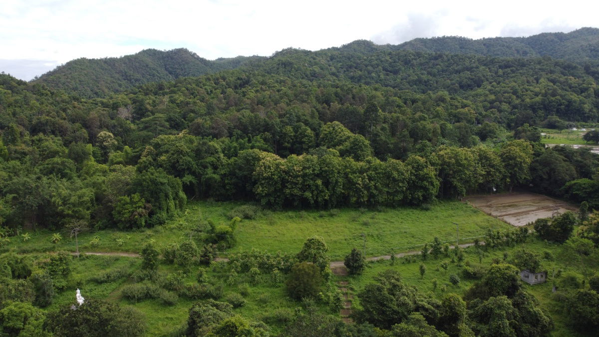 picture For sale: 3 rai of land in Suan Huai Kaew, beautiful view, can be sold separately. - 2/7