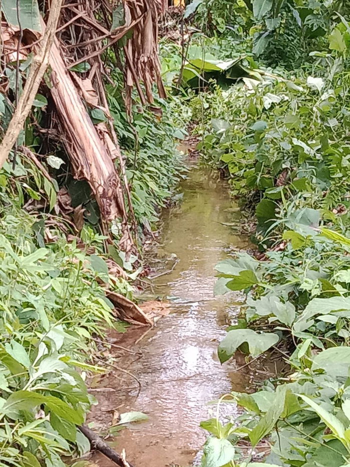 picture For sale: 3 rai of land in Suan Huai Kaew, beautiful view, can be sold separately. - 7/7