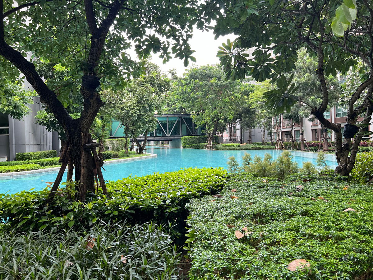 picture ♦️For rent: D Condo Ping, 2 bedrooms, pool view, most beautiful, Building A, 60 sq m. ☎️064-792-4426 (Ben) - 15/23