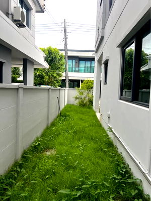 เช่าบ้านเดี่ยว ม.รังสิต : ปล่อยเช่า Centro ดอนเมือง แจ้งวัฒนะ บ้านสวย น่าอยู่มาก
