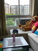 listing thumbnail image 19