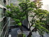 listing thumbnail image 18
